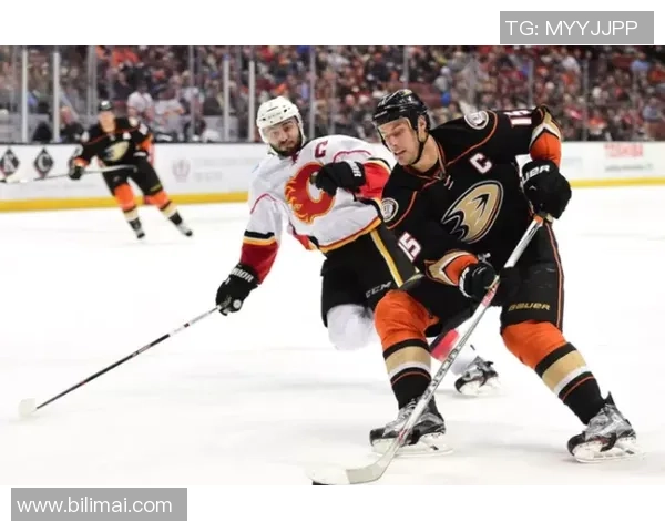 杭州排球队实力对比深度解析各队优势与挑战全面剖析