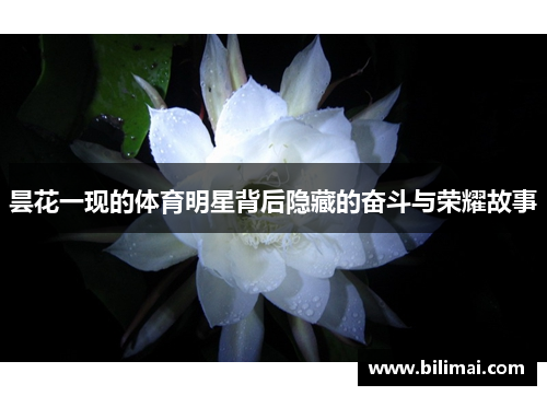 昙花一现的体育明星背后隐藏的奋斗与荣耀故事